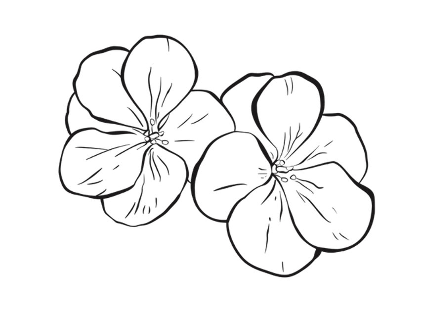 OzariaGrace Geranium Flower Motif